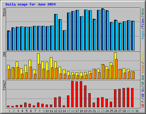 Daily usage for June 2024