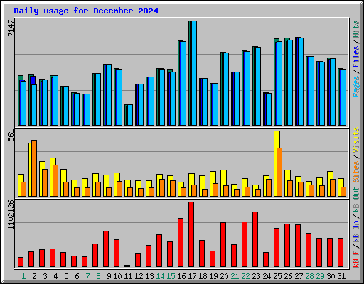 Daily usage for December 2024