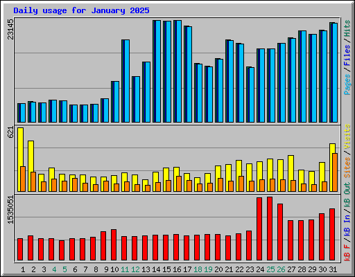 Daily usage for January 2025