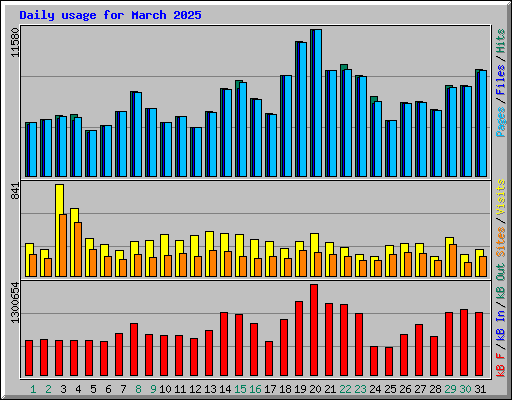Daily usage for March 2025