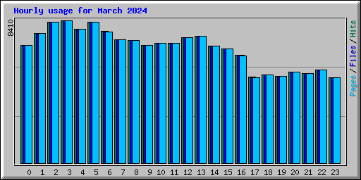 Hourly usage for March 2024
