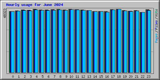 Hourly usage for June 2024