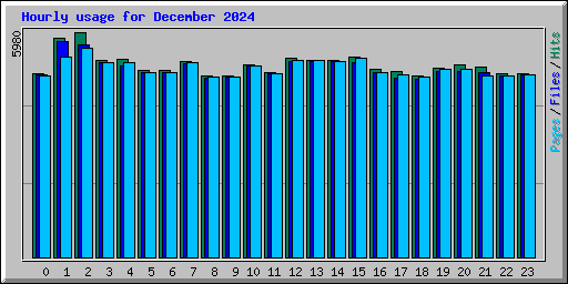 Hourly usage for December 2024