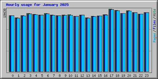 Hourly usage for January 2025