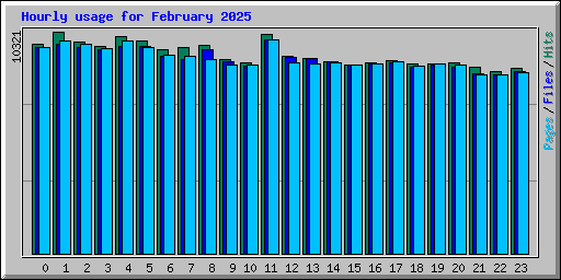 Hourly usage for February 2025