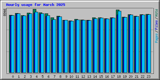 Hourly usage for March 2025