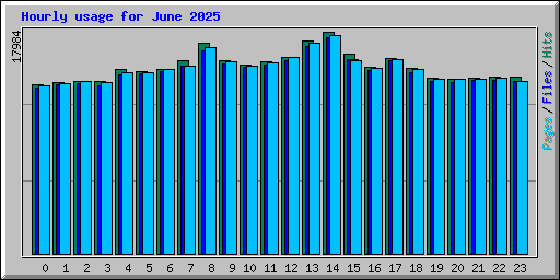 Hourly usage for June 2025